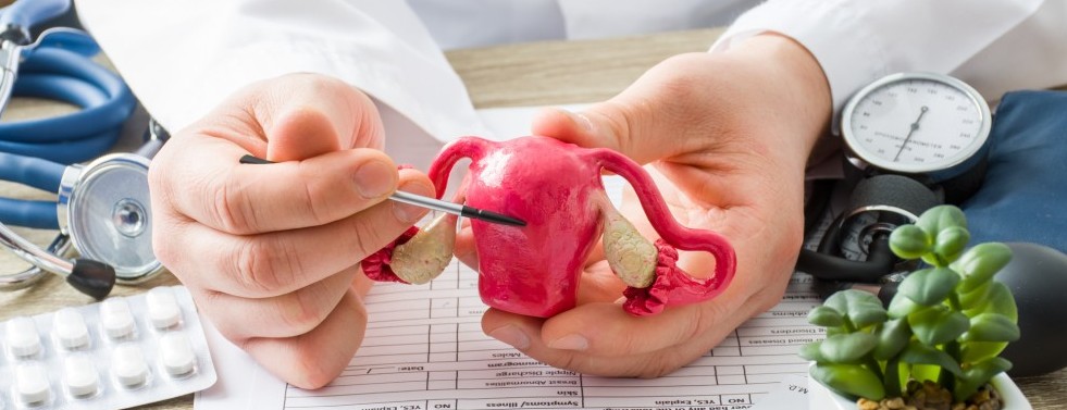 Gynaecology